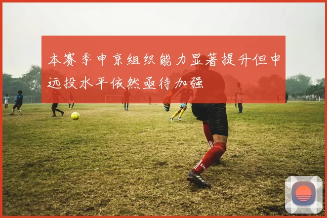 本赛季申京组织能力显著提升但中远投水平依然亟待加强