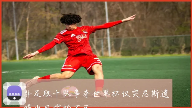 非足联十队争夺世界杯仅突尼斯遗憾出局尴尬不已